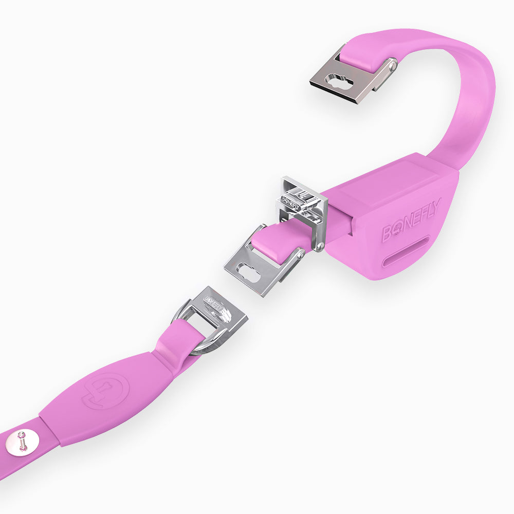 Flexfly 360 Siver Bones Leash