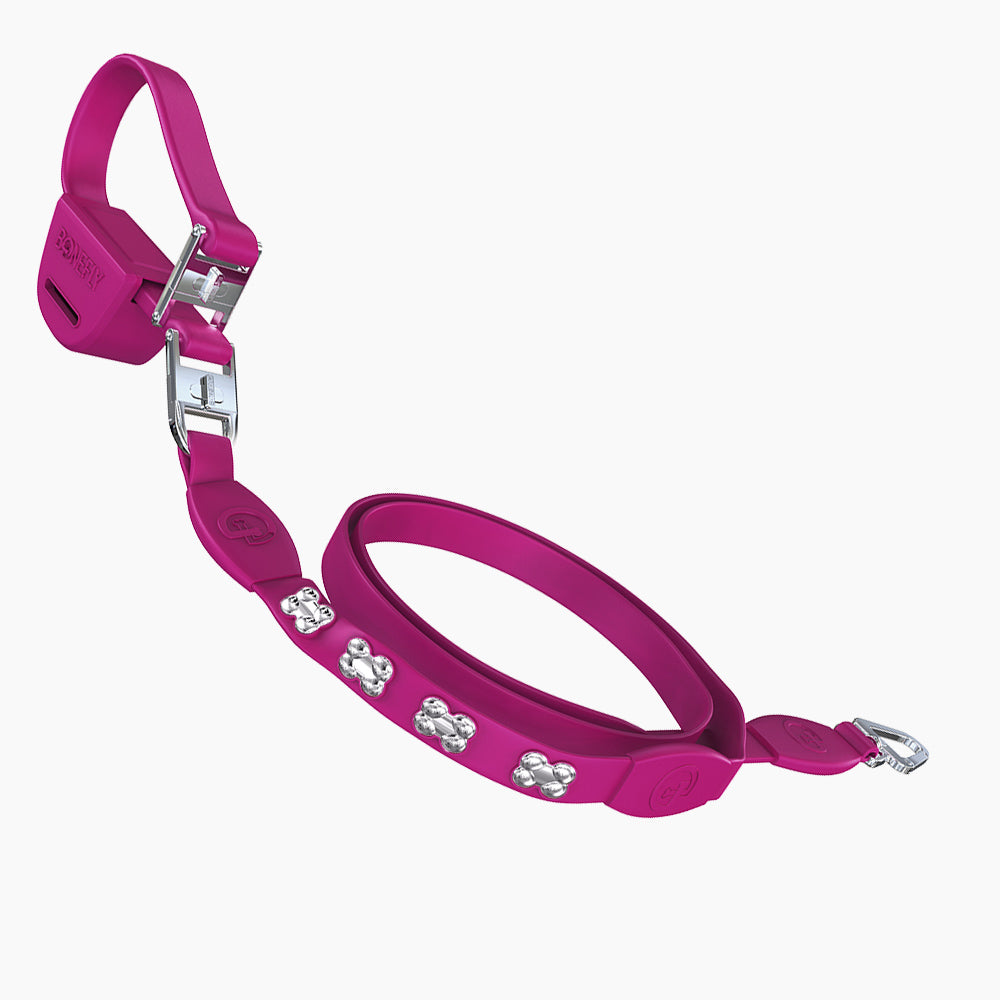 Flexfly 360 Siver Bones Leash