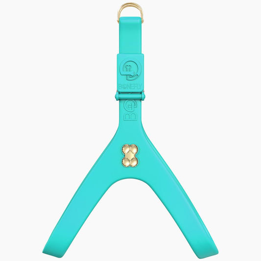 Boneflex Harness Teal Gold Bones