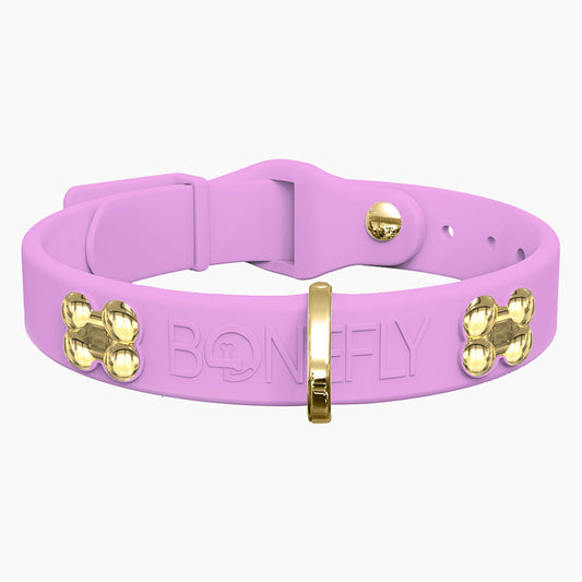 Boneflex+ Signature Gold Bones Collar