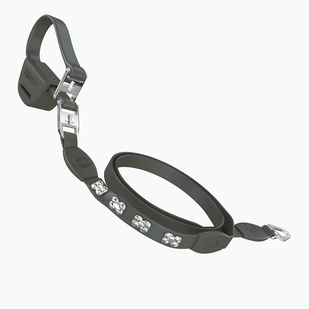 Flexfly 360 Siver Bones Leash