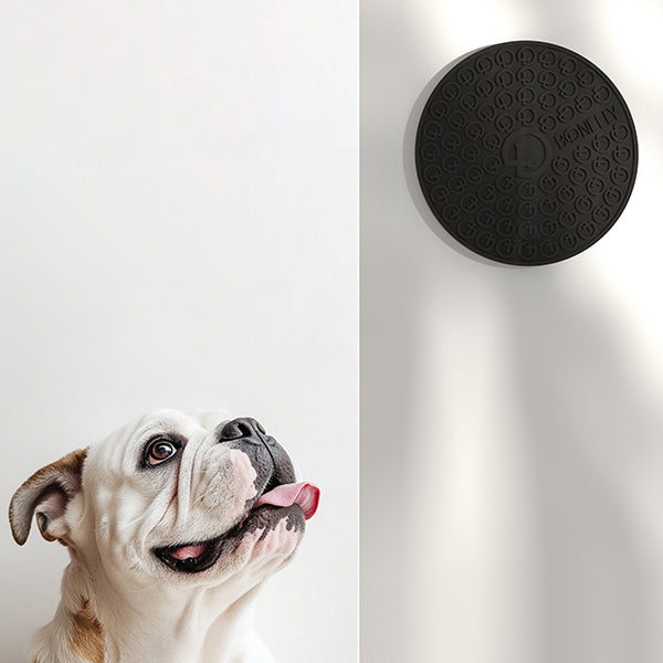 Lick Mat Coin Graphite