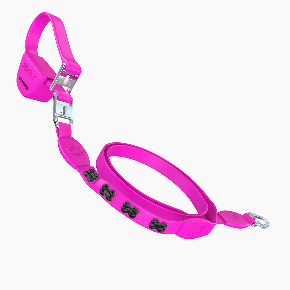 Flexfly 360 Black Bones Leash