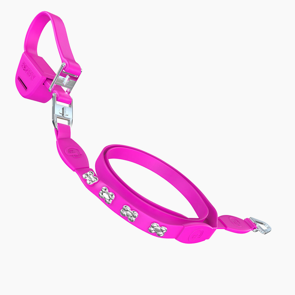 Flexfly 360 Siver Bones Leash