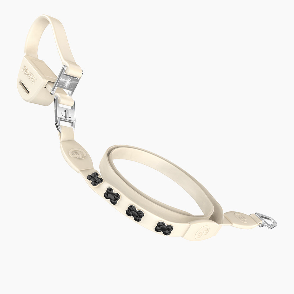 Flexfly 360 Black Bones Leash