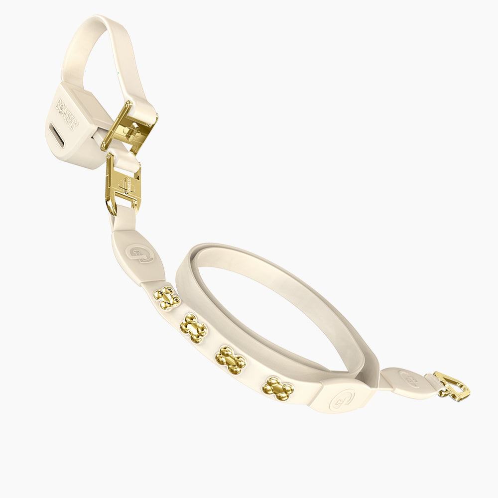 Flexfly 360 Gold Bones Leash