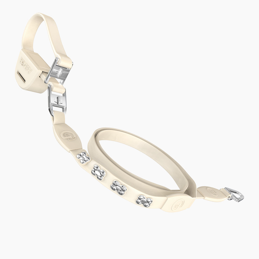 Flexfly 360 Siver Bones Leash