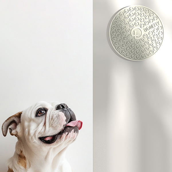 Lick Mat Coin Graphite