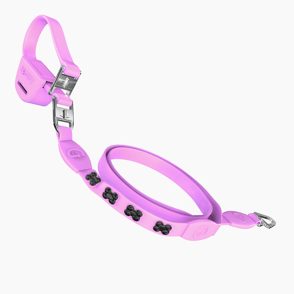 Flexfly 360 Black Bones Leash