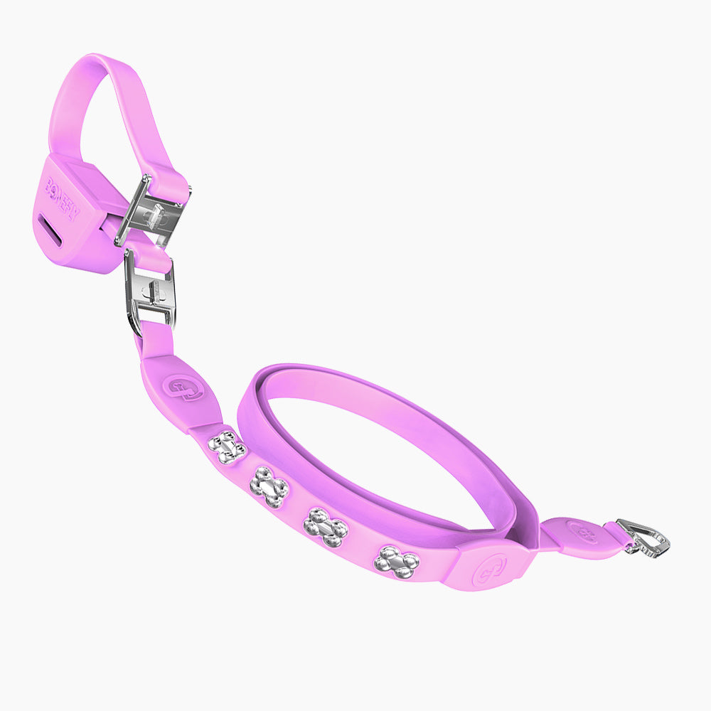 Flexfly 360 Siver Bones Leash
