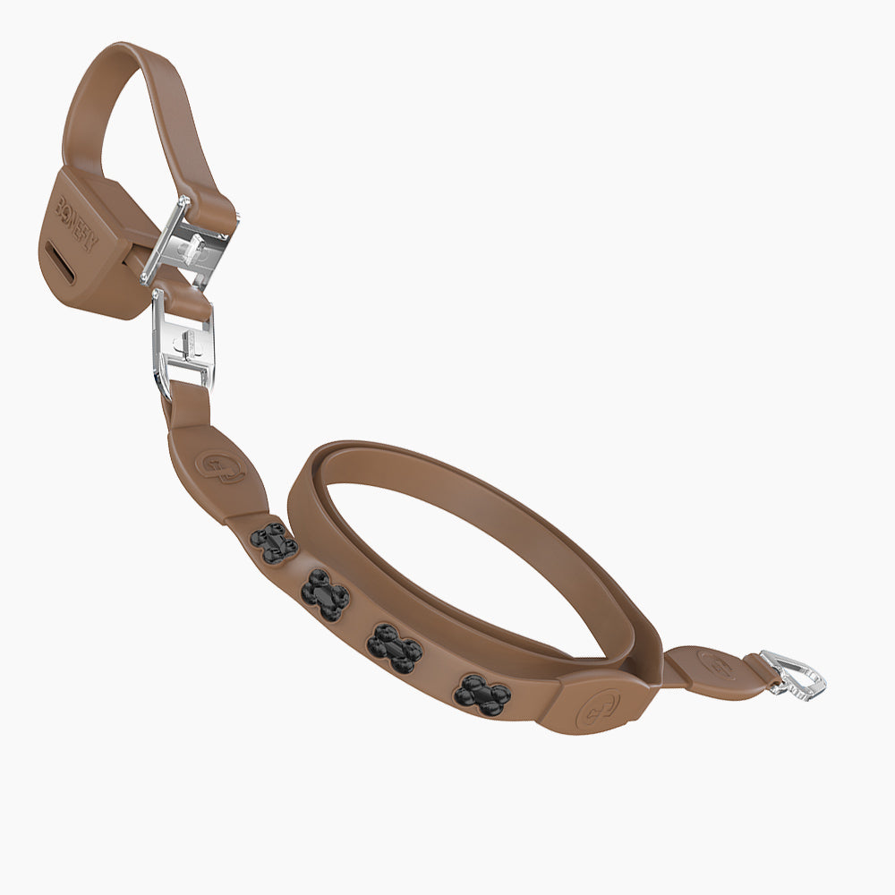 Flexfly 360 Black Bones Leash