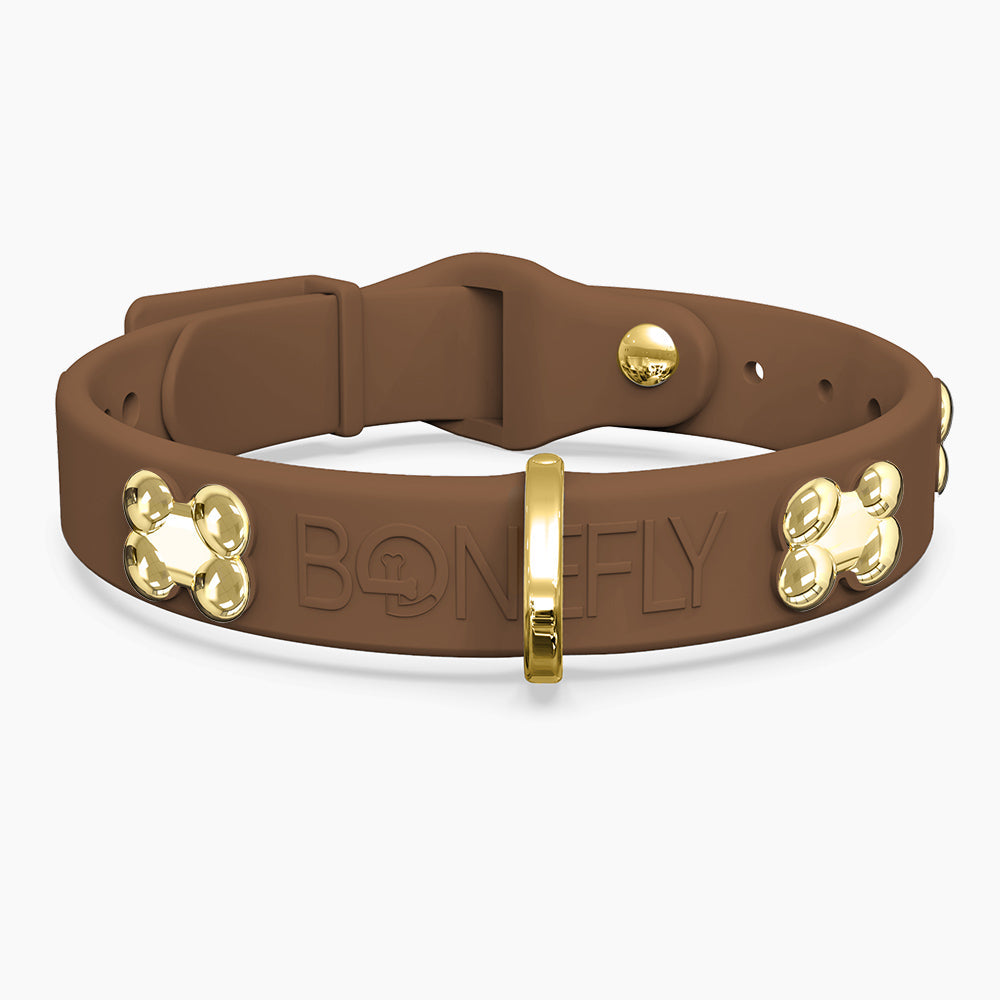 Boneflex+ Signature Gold Bones Collar