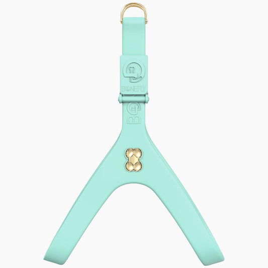 Boneflex Harness Mint Gold Bones