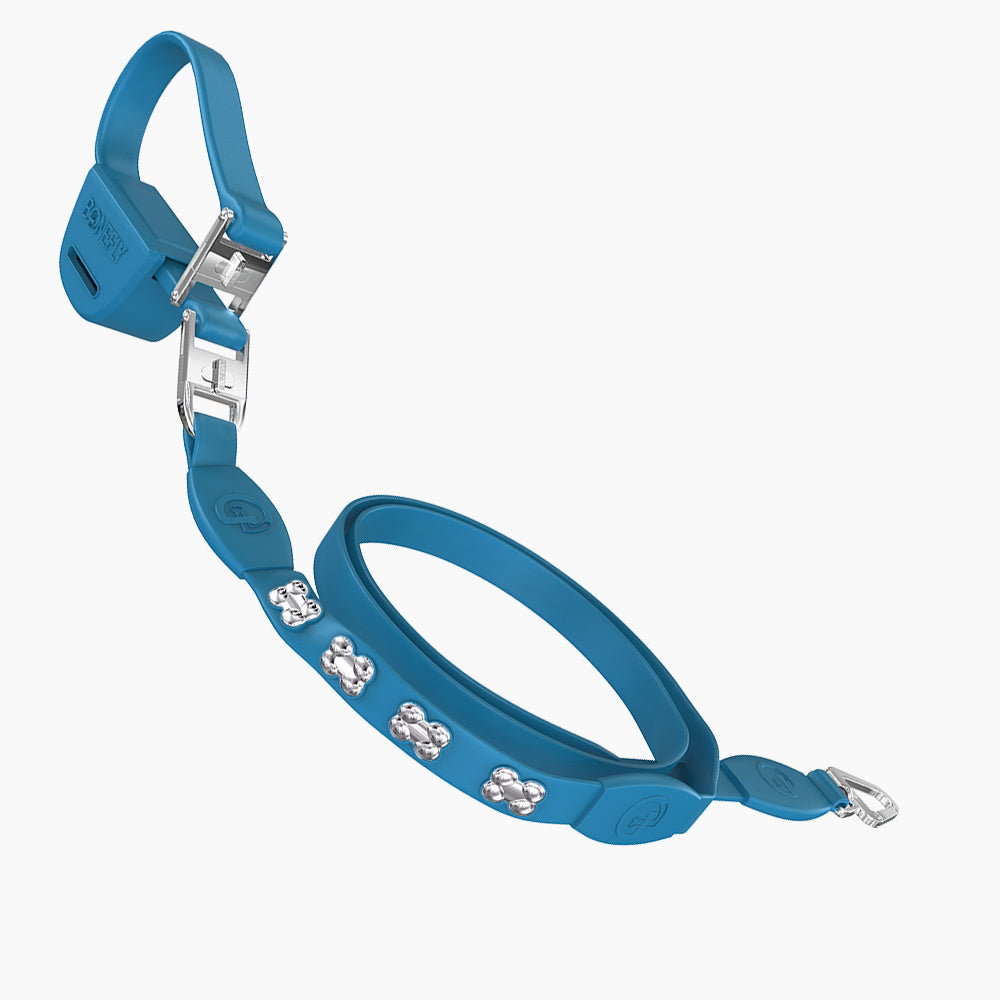 Flexfly 360 Siver Bones Leash