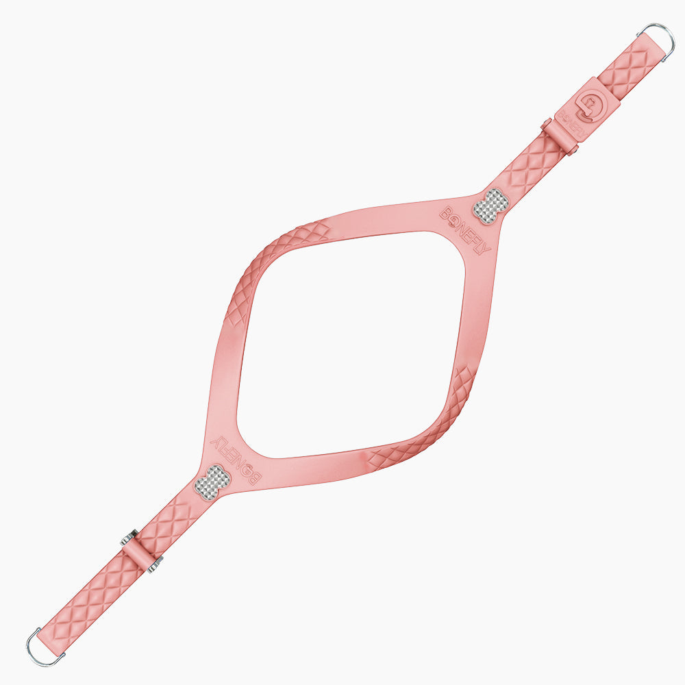 QuiltFLY Signature Spike Bones Harness