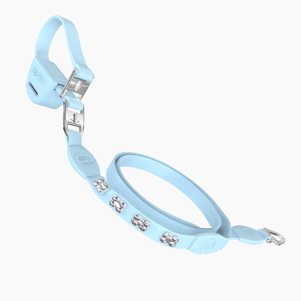 Flexfly 360 Siver Bones Leash