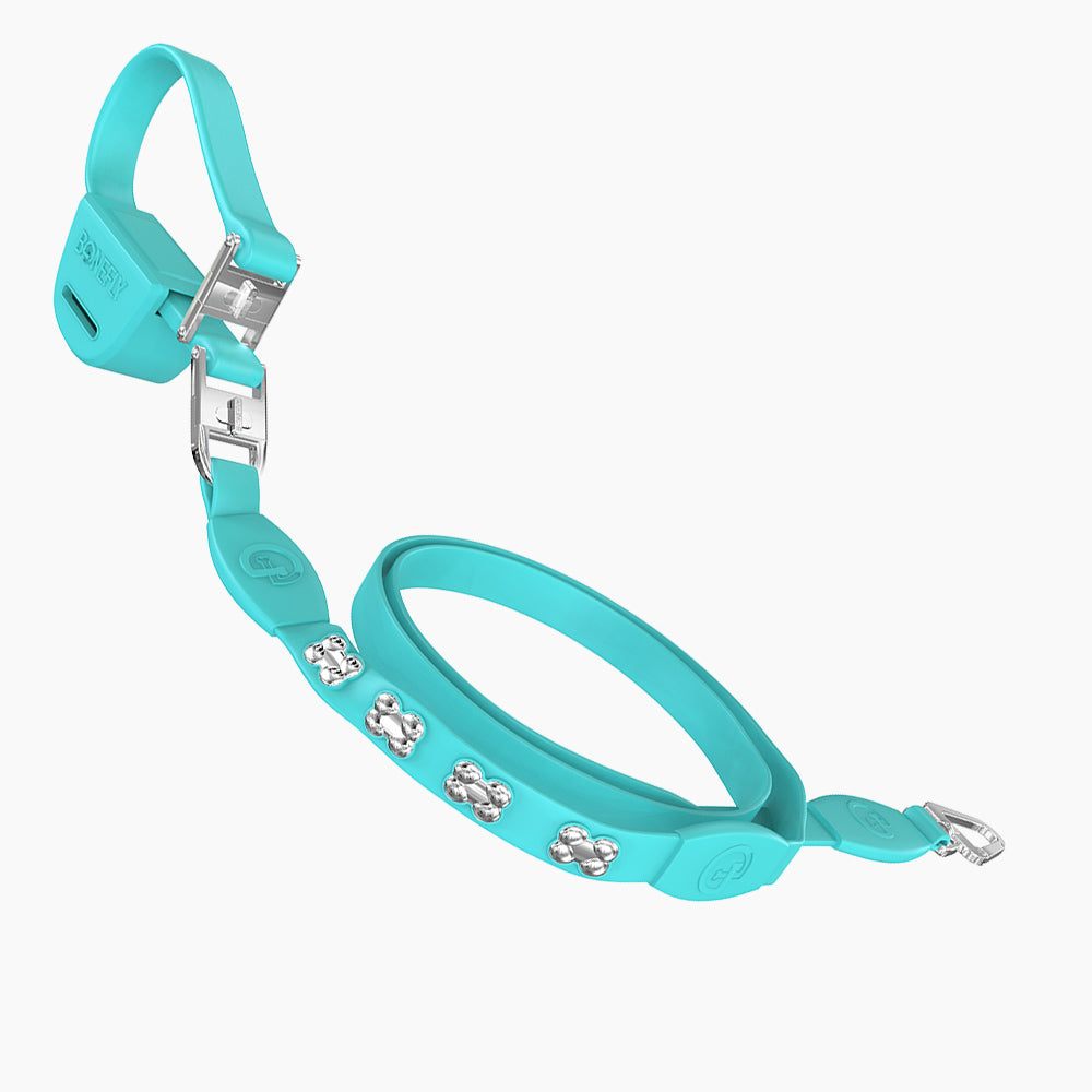 Flexfly 360 Siver Bones Leash