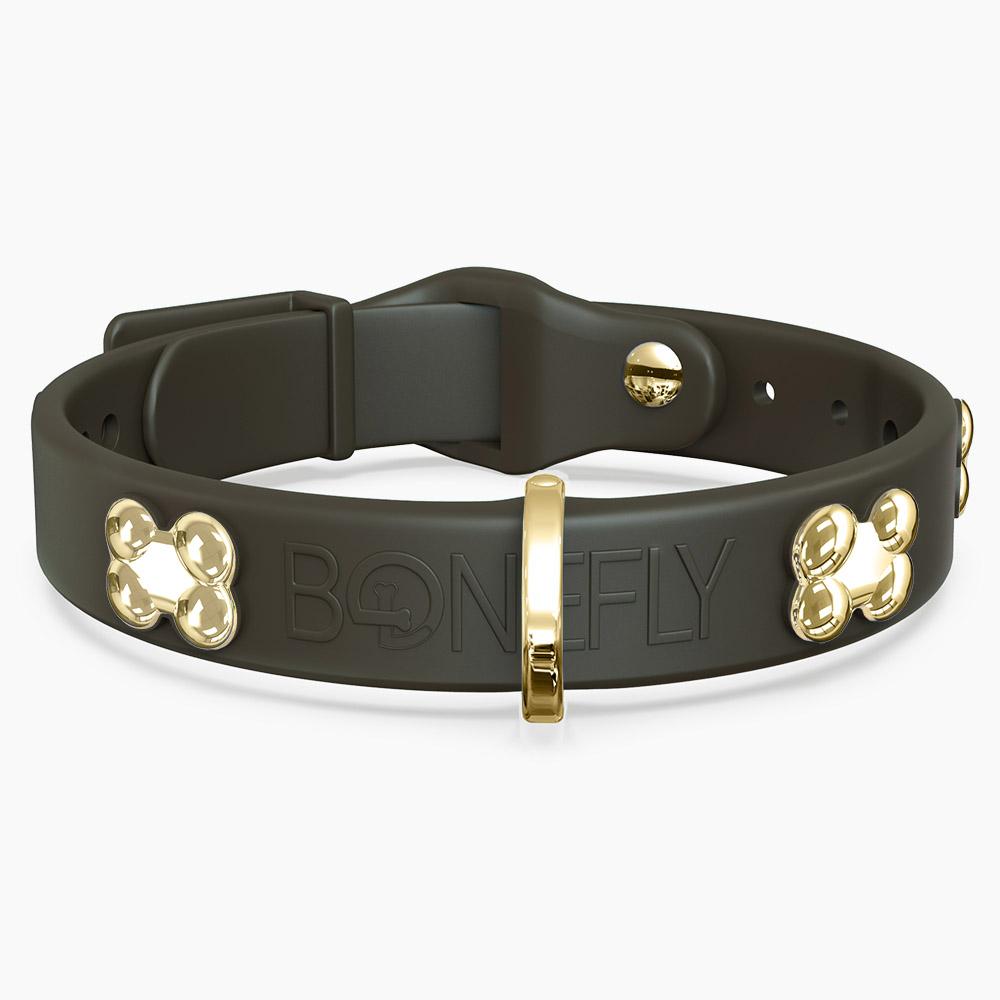 Boneflex Collar + Hueso Dorado