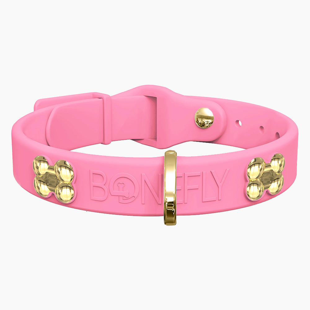 Boneflex Collar + Hueso Dorado