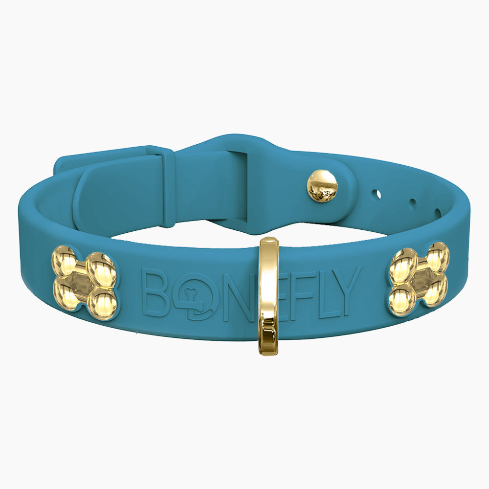 Boneflex Collar + Hueso Dorado