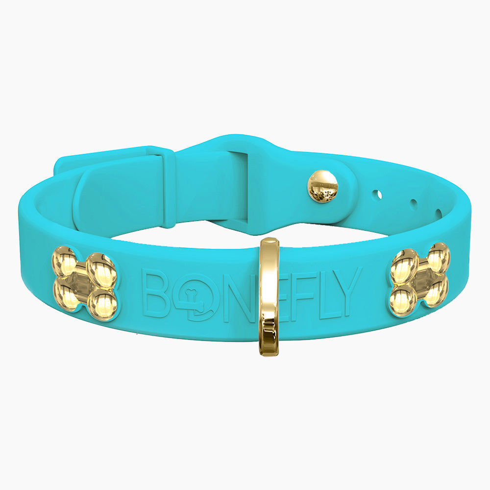 Boneflex Collar + Hueso Dorado