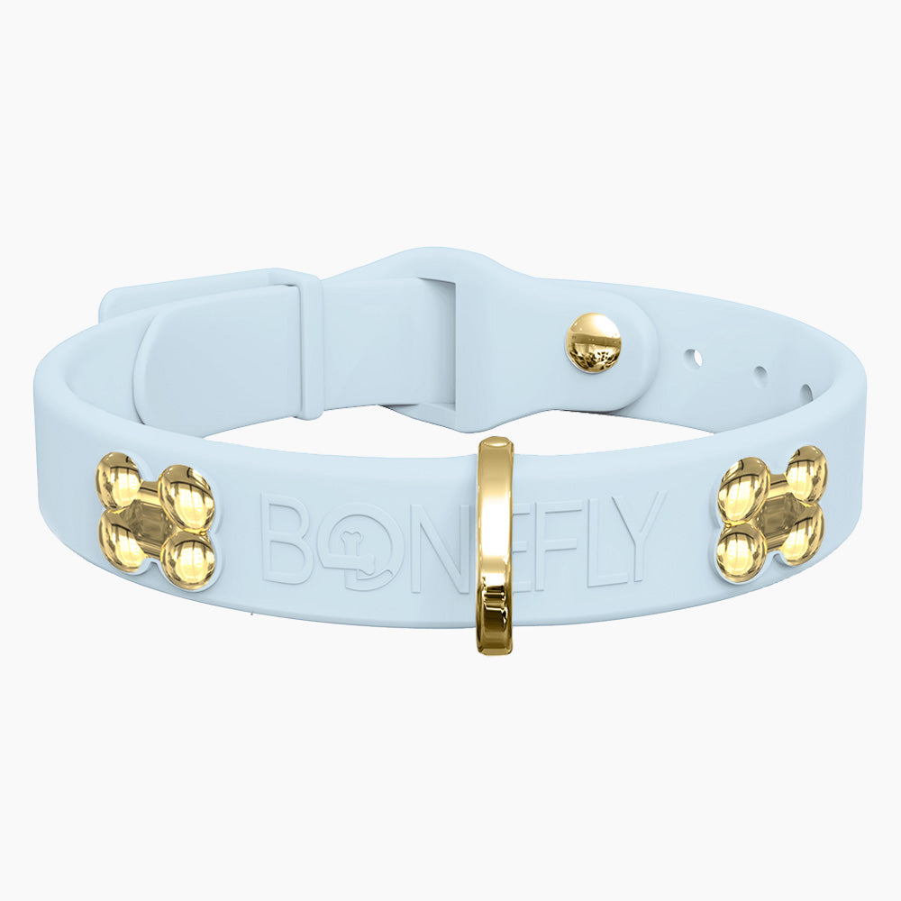 Boneflex Collar + Hueso Dorado