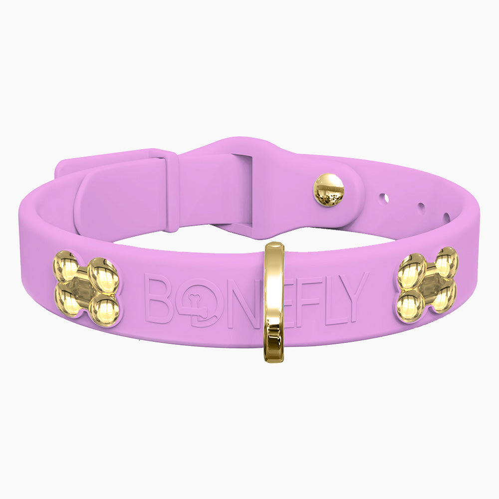 Boneflex Collar + Hueso Dorado