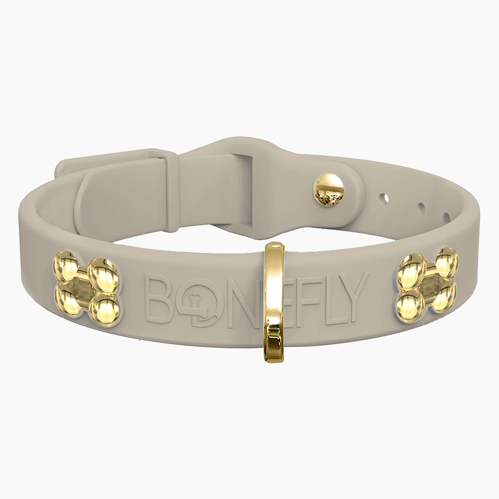 Boneflex Collar + Hueso Dorado