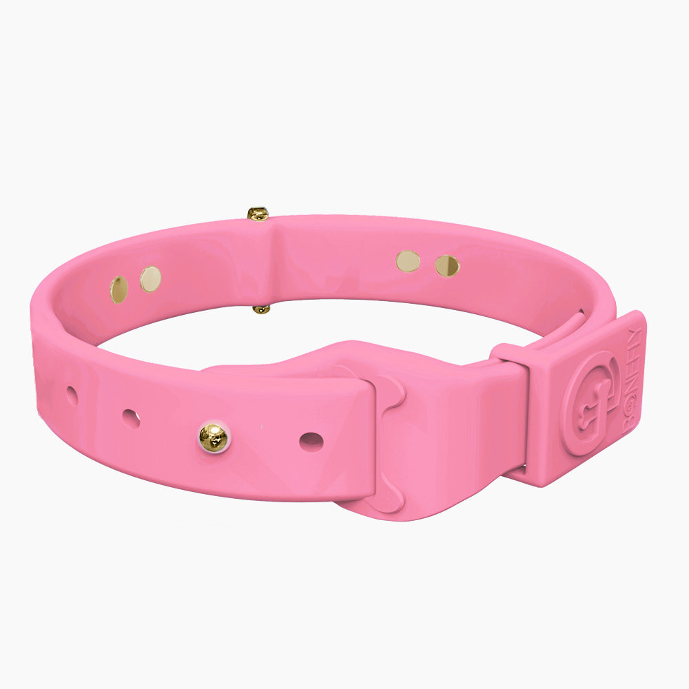 Boneflex Collar + Hueso Dorado