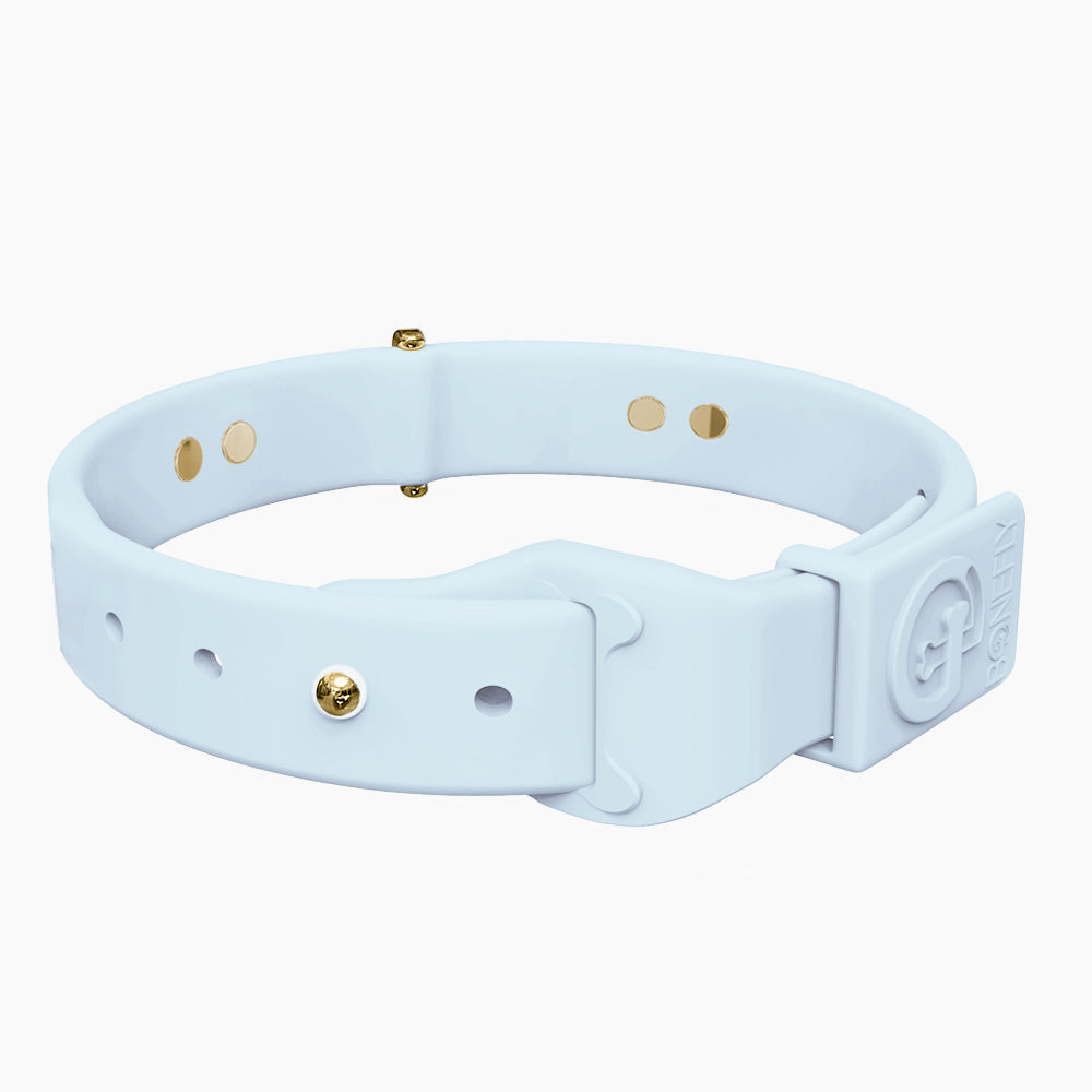 Boneflex Collar + Hueso Dorado