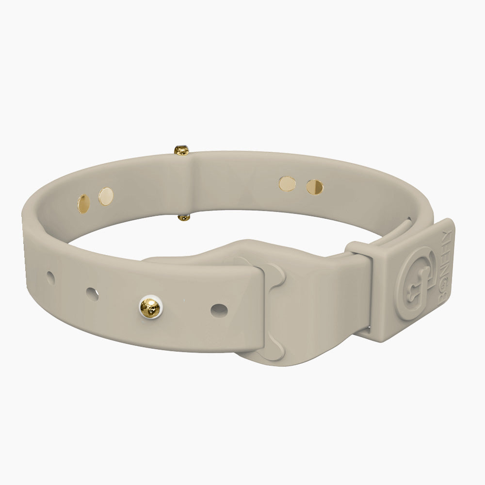 Boneflex Collar + Hueso Dorado