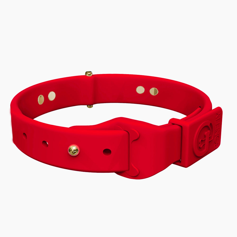 Boneflex Collar + Hueso Dorado