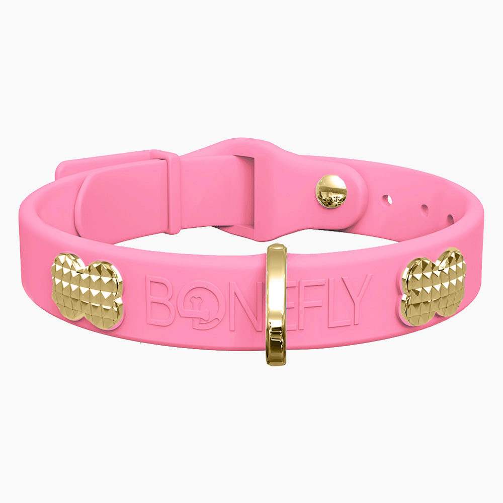 Boneflex Collar + Hueso Spike Dorado