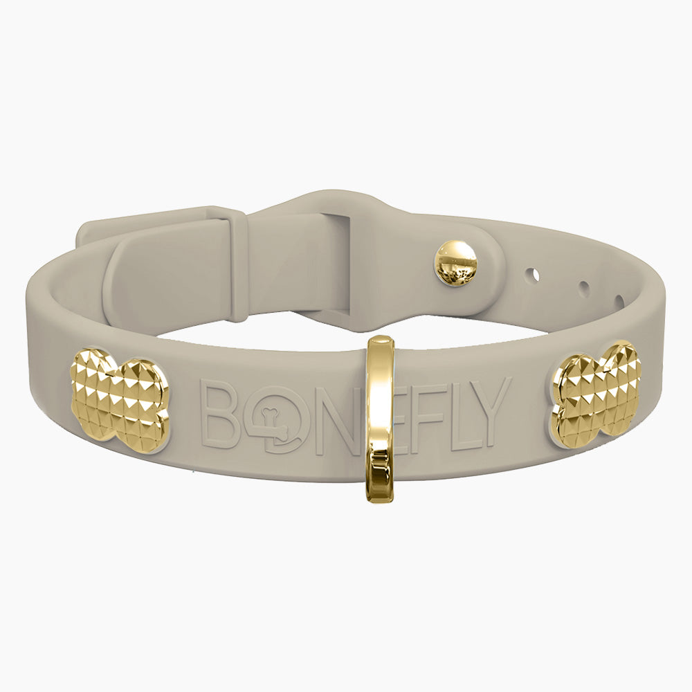 Boneflex Collar + Hueso Spike Dorado