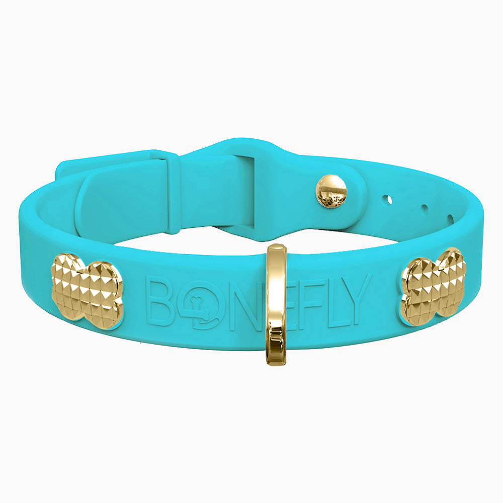 Boneflex Collar + Hueso Spike Dorado