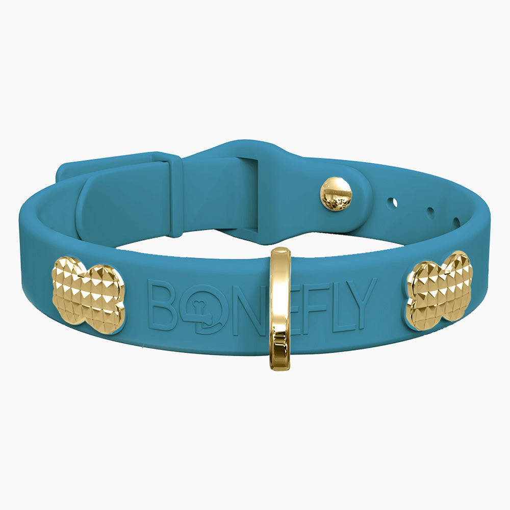 Boneflex Collar + Hueso Spike Dorado