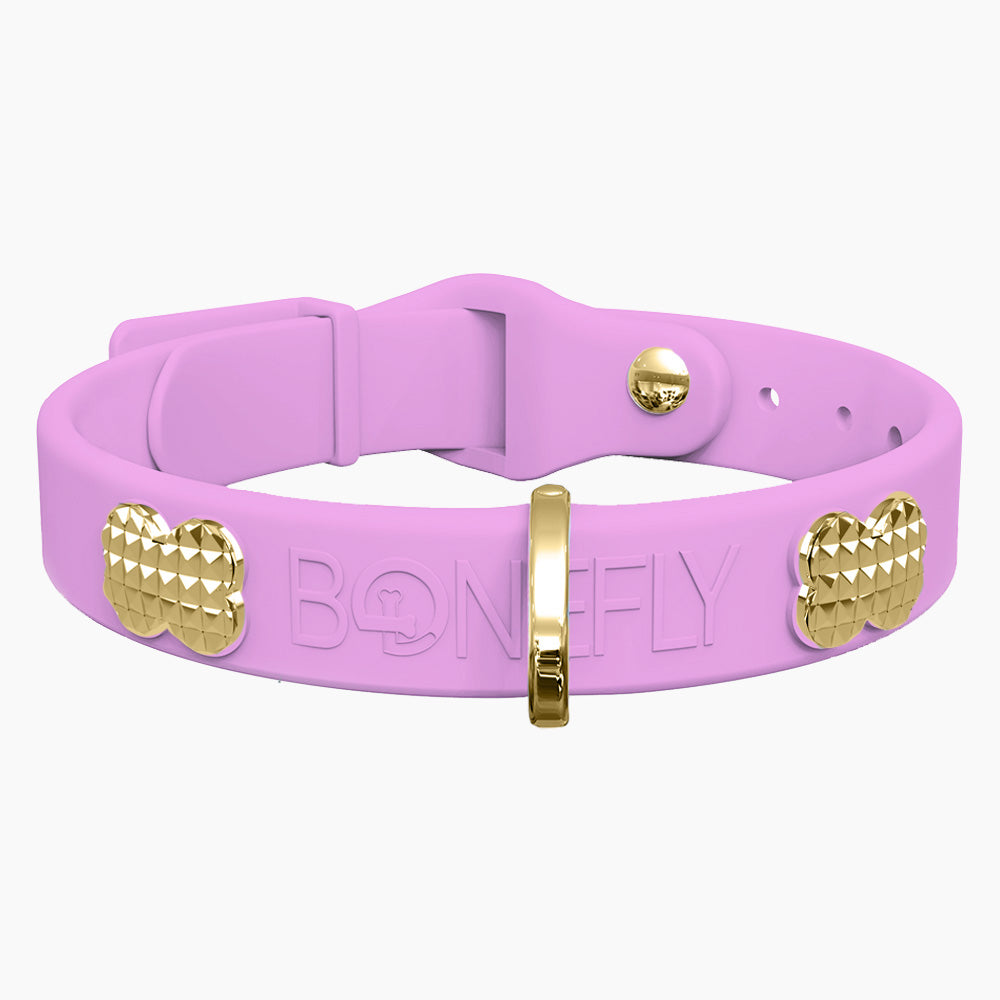 Boneflex Collar + Hueso Spike Dorado